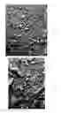 Fig. 04 - METHODS FOR REMOVING HEMICELLULOSE