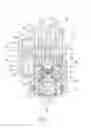 Fig. 03 - Water supply device with double supply modes