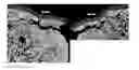 Fig. 01 - Building Boards with Increased Surface Strength