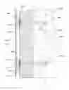Fig. 01 - Precast concrete structures, precast tilt-up concrete structures and methods of making same