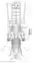 Fig. 02 - Interior cooling circuits in turbine blades