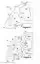 Fig. 09 - Structural configurations and cooling circuits in turbine blades