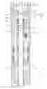 Fig. 01 - Apparatus and system for sealing submersible pump assemblies