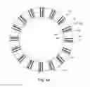 Fig. 06 - Torque converter including stator thrust bearing