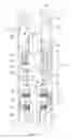 Fig. 04 - SHOCK ABSORBER