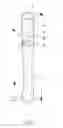 Fig. 02 - MULTIFUNCTIONAL TORCH LIGHT