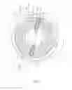 Fig. 07 - Range hood with an easily assembled and disassembled lamp