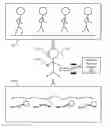 Fig. 01 - DYNAMIC CALIBRATION OF RELATIONSHIPS OF MOTION UNITS