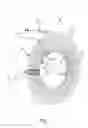 Fig. 02 - APPARATUS FOR DETERMINING GAUGE PROFILE FOR FLAT ROLLED MATERIAL WITH LASER-BASED LAP COUNTER