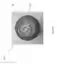 Fig. 09 - Capsule or cork comprising security features