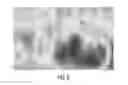 Fig. 09 - CHARACTERIZATION OF FIELD SITES FOR UTILITY IN AGRONOMIC STRESS TRIALS