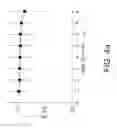Fig. 07 - SINGLE MOLECULE PROTEIN SEQUENCING