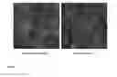 Fig. 03 - Fluorescent fusion polypeptide