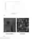 Fig. 05 - Fluorescent fusion polypeptide