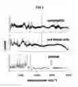 Fig. 02 - Quantifying Neutrophil Concentration in Blood