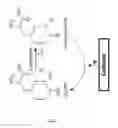 Fig. 02 - METHODS AND SYSTEM FOR DETECTING MELANOMA
