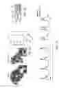 Fig. 02 - Methods for identifying and treating cancer patients