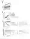 Fig. 06 - Compositions Comprising RAC Mutants, and Methods of Use Thereof