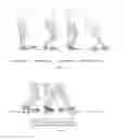 Fig. 02 - METAL DETECTING SHOE