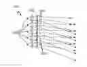 Fig. 01 - Universal traffic light luminaire
