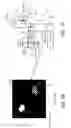 Fig. 02 - GRAYSCALE STIMULATION USING A BINARY SPATIAL LIGHT MODULATOR
