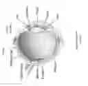 Fig. 09 - ENHANCED OPTICAL AND PERCEPTUAL DIGITAL EYEWEAR