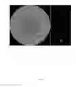 Fig. 08 - HOLOGRAPHIC IMAGING ELEMENT OPERABLE TO GENERATE MULTIPLE DIFFERENT IMAGES OF AN OBJECT