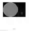 Fig. 14 - HOLOGRAPHIC IMAGING ELEMENT OPERABLE TO GENERATE MULTIPLE DIFFERENT IMAGES OF AN OBJECT