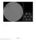 Fig. 19 - HOLOGRAPHIC IMAGING ELEMENT OPERABLE TO GENERATE MULTIPLE DIFFERENT IMAGES OF AN OBJECT