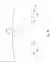 Fig. 04 - Optical Imaging Apparatus