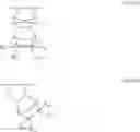 Fig. 07 - Positive resist composition and method of pattern formation with the same
