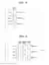 Fig. 03 - Image forming apparatus controlling light exposure based on applied bias