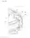 Fig. 14 - Drum supporting structure for supporting photosensitive drum, image forming apparatus, and bearing for supporting photosensitive drum