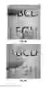 Fig. 09 - Image processing for introducing blurring effects to an image