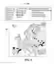 Fig. 09 - Language preference selection for a user interface using non-language elements