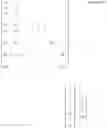 Fig. 08 - OBJECT DETECTION DEVICE, OBJECT DETECTION METHOD, AND STORAGE MEDIUM