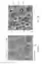 Fig. 02 - Systems and Methods for Object Identification