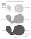 Fig. 06 - Systems and Methods for Object Identification