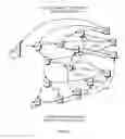 Fig. 06 - Method and apparatus for processing of finite automata