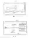 Fig. 09 - Electronic Account Data Transfer Method And Related Device And System