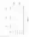 Fig. 06 - Automating visual literacy to present data in a visually organized fashion