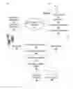 Fig. 01 - Regional item reccomendations