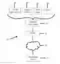 Fig. 01 - Retail website user interface, systems and methods