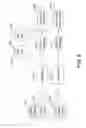Fig. 06 - System and method for authenticating storage media within an electronic gaming system