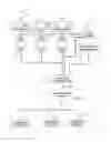 Fig. 01 - Electronic transaction systems and methods for gaming or amusement credit purchases