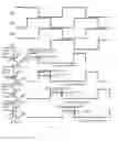 Fig. 09 - GOA circuit structure