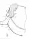 Fig. 03 - Musical instrument accessory