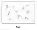 Fig. 04 - Soft magnetic powder core