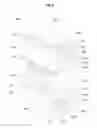 Fig. 10 - Electromagnetic force driving device