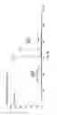 Fig. 07 - PULSE-BURST ASSISTED ELECTROSPRAY IONIZATION MASS SPECTROMETER
